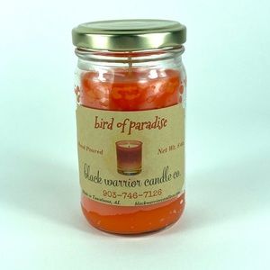 Bird of Paradise Orange 8oz Candle